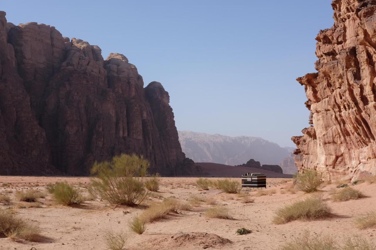 Wadirum Momoo Wadi Rum Zewnętrze zdjęcie