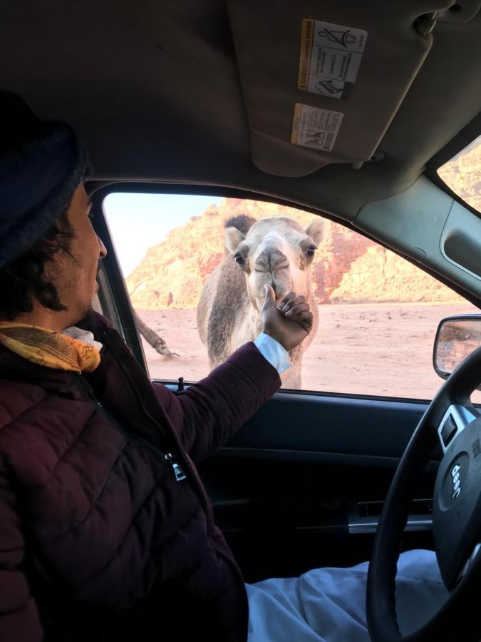 Wadirum Momoo Wadi Rum Zewnętrze zdjęcie
