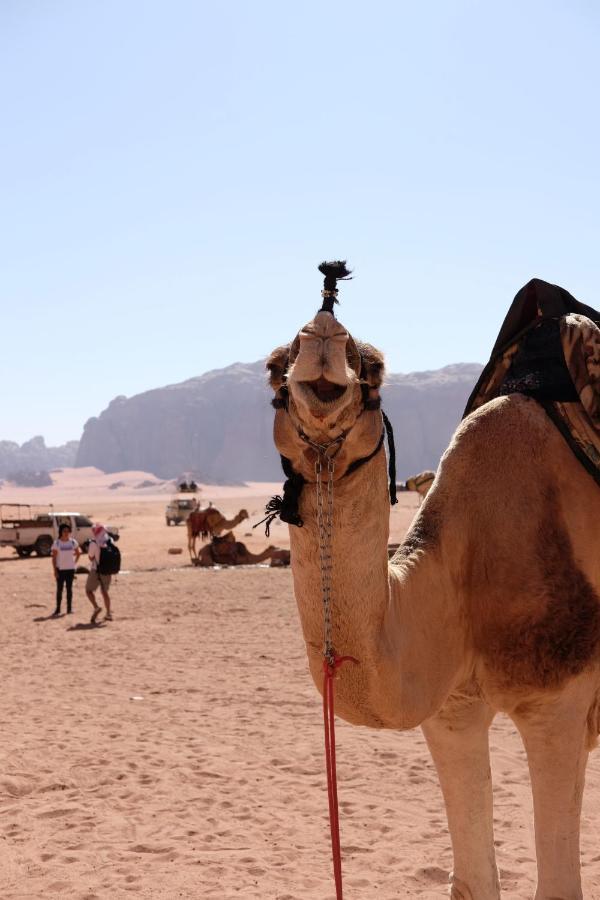 Wadirum Momoo Wadi Rum Zewnętrze zdjęcie